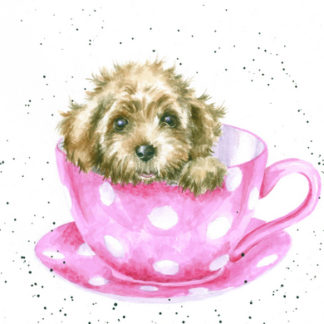 Wrendale Design Teacup Pup Greeting Card