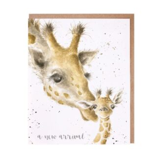 Wrendale Design Greeting Card A New Arrival