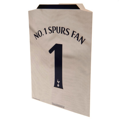 Tottenham Hotspur FC Blank Shirt