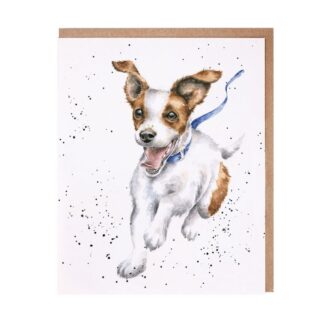 Wrendale Design Greeting Card Freedom Jack Russell