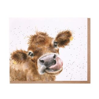 Wrendale Design Greeting Card Mooooo